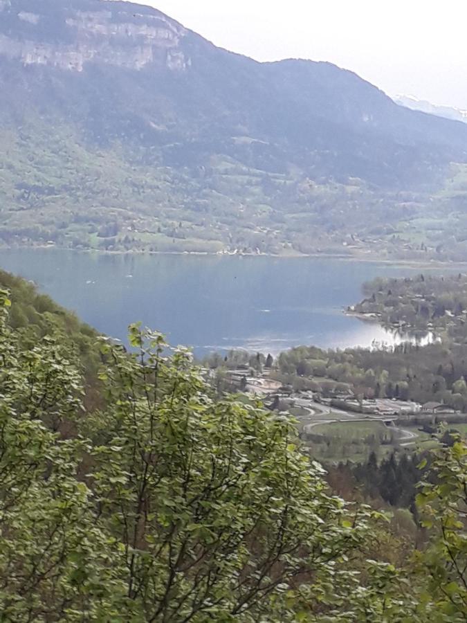 Les Tilleuls Saint-Jean-d'Avelanne Dış mekan fotoğraf