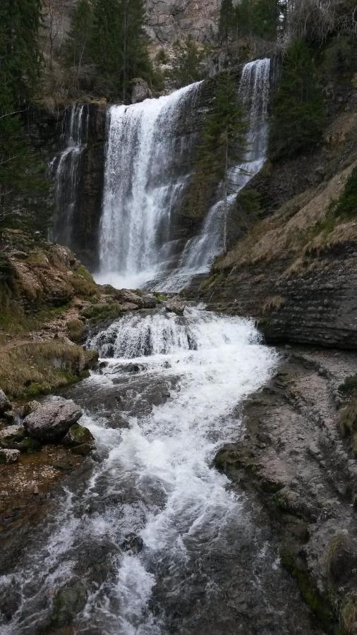 Les Tilleuls Saint-Jean-d'Avelanne Dış mekan fotoğraf