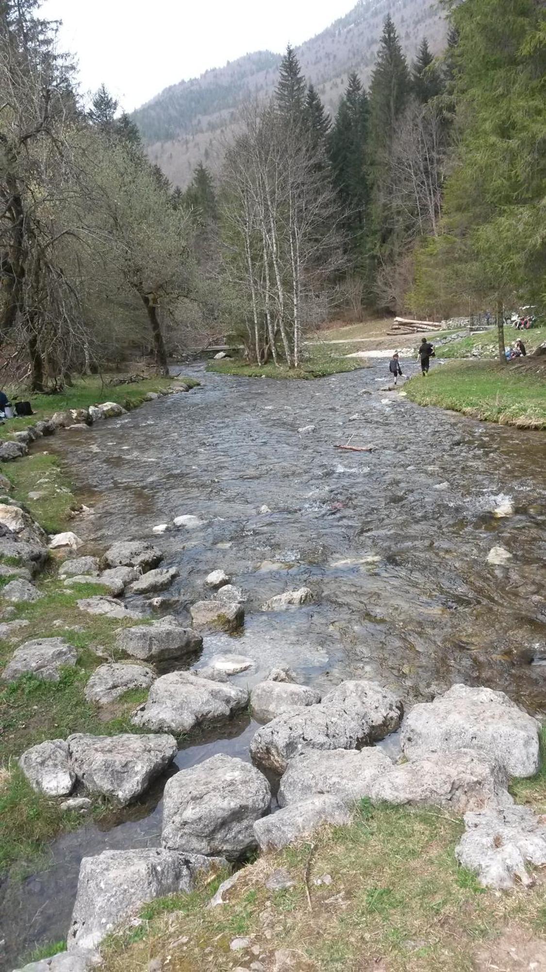 Les Tilleuls Saint-Jean-d'Avelanne Dış mekan fotoğraf
