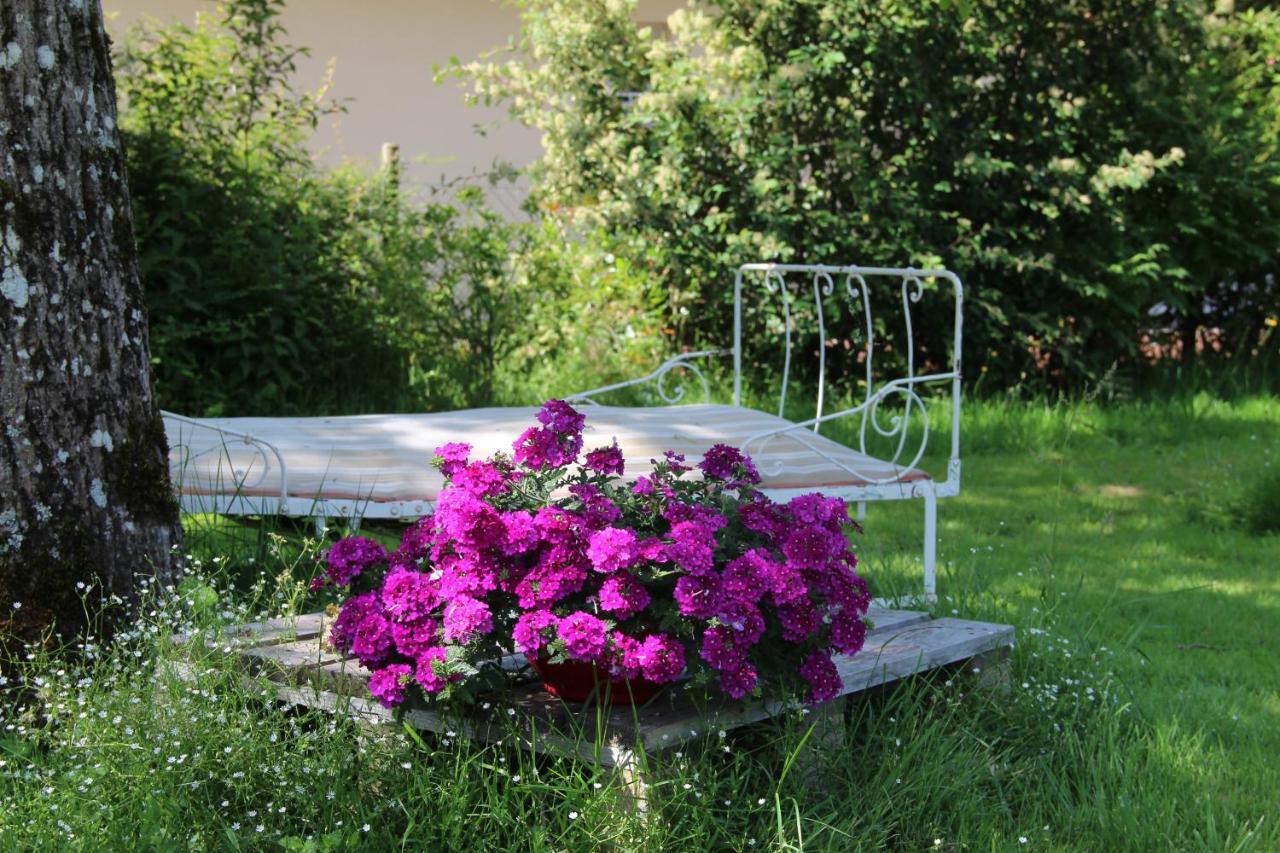 Les Tilleuls Saint-Jean-d'Avelanne Dış mekan fotoğraf