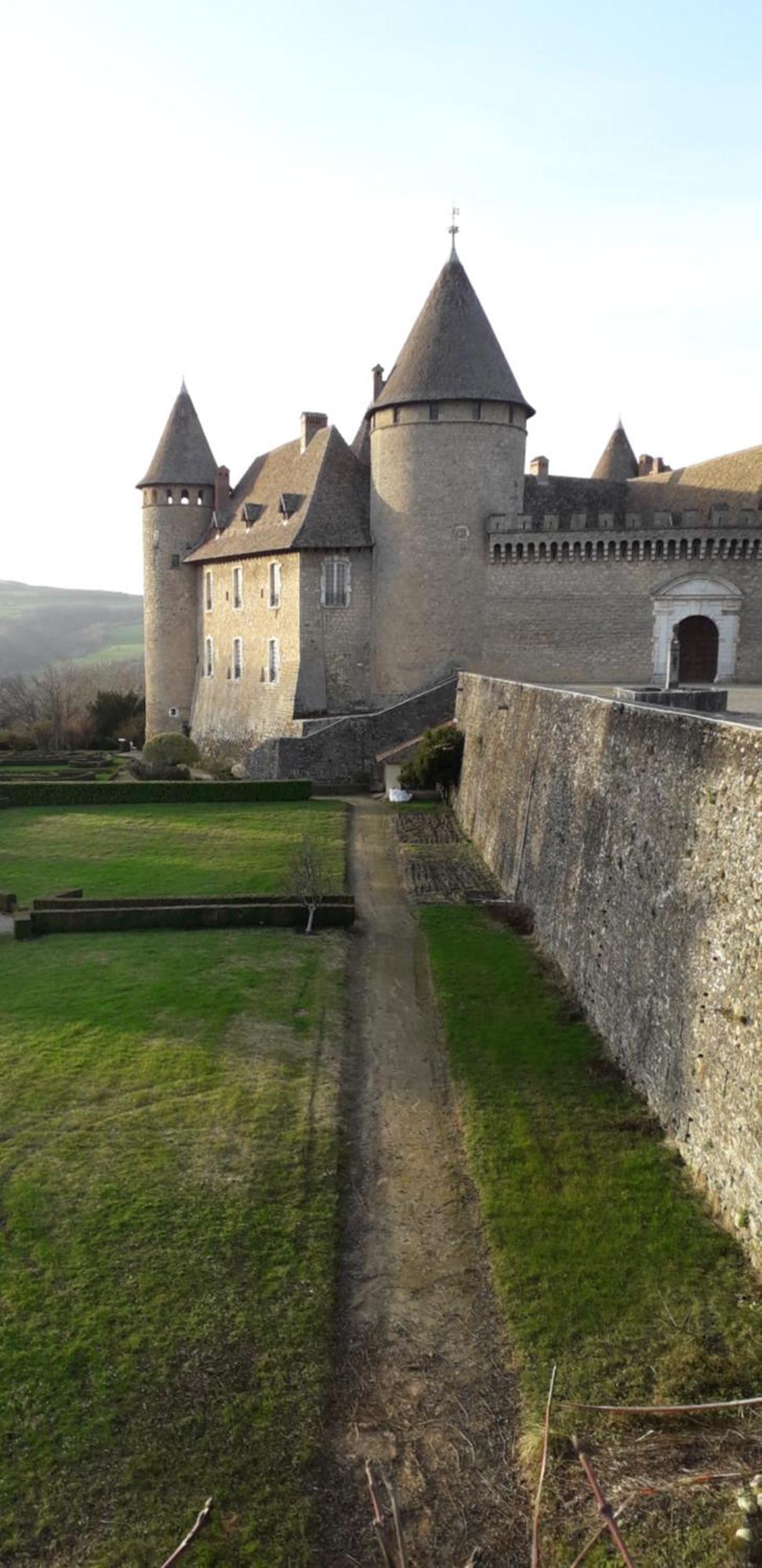 Les Tilleuls Saint-Jean-d'Avelanne Dış mekan fotoğraf