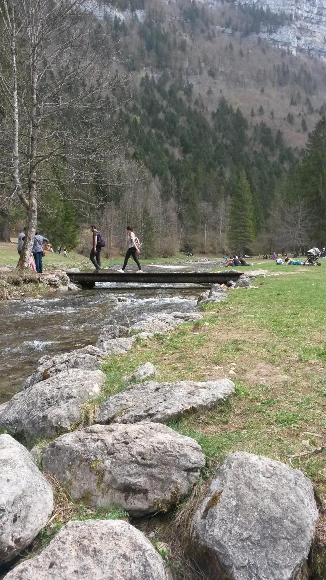 Les Tilleuls Saint-Jean-d'Avelanne Dış mekan fotoğraf